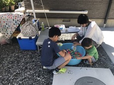 子供写真.jpg 子供写真.jpg