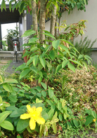40008.jpg 40008.jpg