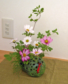秋の花・コスモス 秋の花・コスモス