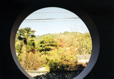2 (37).jpg 2 (37).jpg