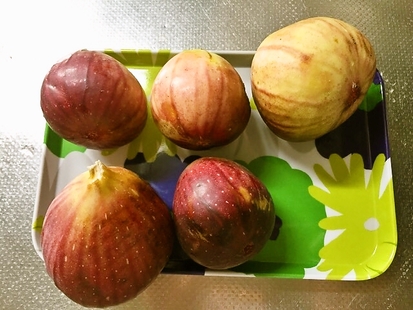 foodpic7202265.jpg