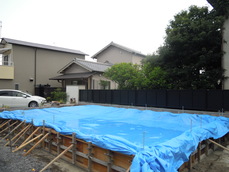 DSCN5183.JPG