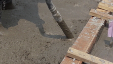 S1060011.JPG