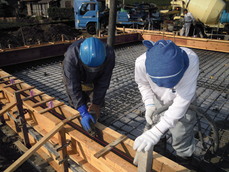 DSCN5485.JPG