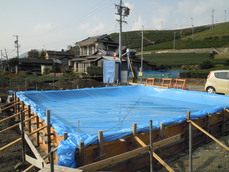DSCN5508.JPG