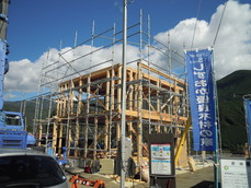 DSCN5594.JPG