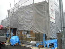 DSCN5687.JPG