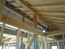 DSCN5823.JPG