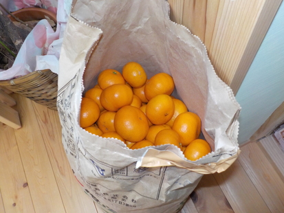 DSCN0846.JPG