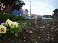 20170322 (20).JPG