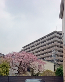 DSC_2121.JPG
