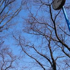 IMG_20170405_093158_304.jpg