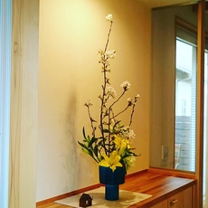 IMG_20170407_180531_815.jpg