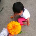 IMG_20170509_132354_507.jpg