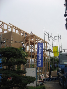 IMG_3757.JPG