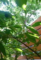 _20170529_105853.JPG