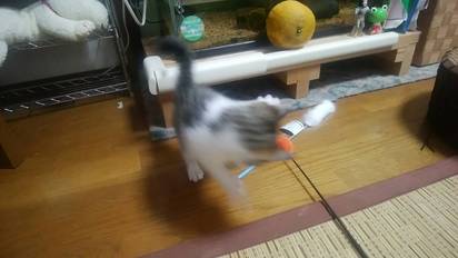IMG_6867.JPG