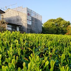 IMG_20180414_111544_793.jpg
