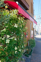 yamabousi2018-2.JPG
