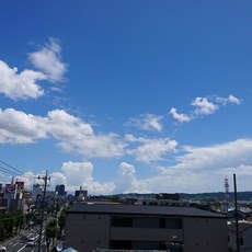 IMG_20180710_120653_565.jpg