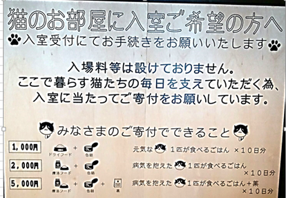 koneko01.png