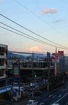 DSC_5352.JPG