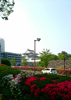 20190422.JPG