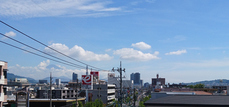 DSC_6480.JPG