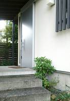 46006.jpg