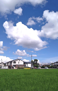 4904.jpg