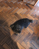 S__3792928.jpg