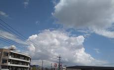 富士山は雲の中。