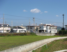 IMG_2855.jpg