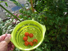 IMGP4261.JPG