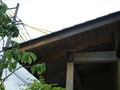 IMGP3589.JPG