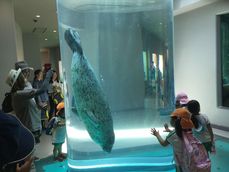 20170609-3.jpg