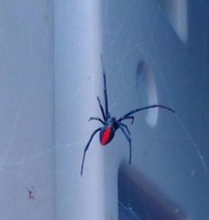 25c0f730-s.jpg