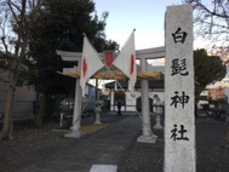 52286911-s.jpg