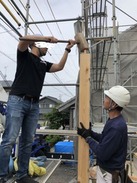 3671b248-s.jpg