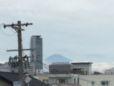 7d8d59f6-s.jpg