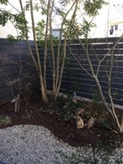 85172801-s.jpg