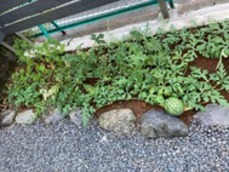 23e77299-s.jpg