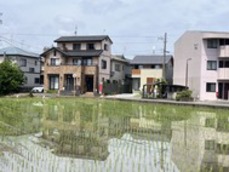 田んぼのからの風が気持ちいいです 田んぼのからの風が気持ちいいです