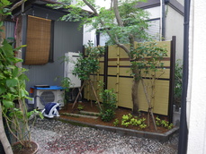 IMGP4248.JPG