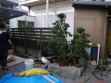 IMGP4332.JPG